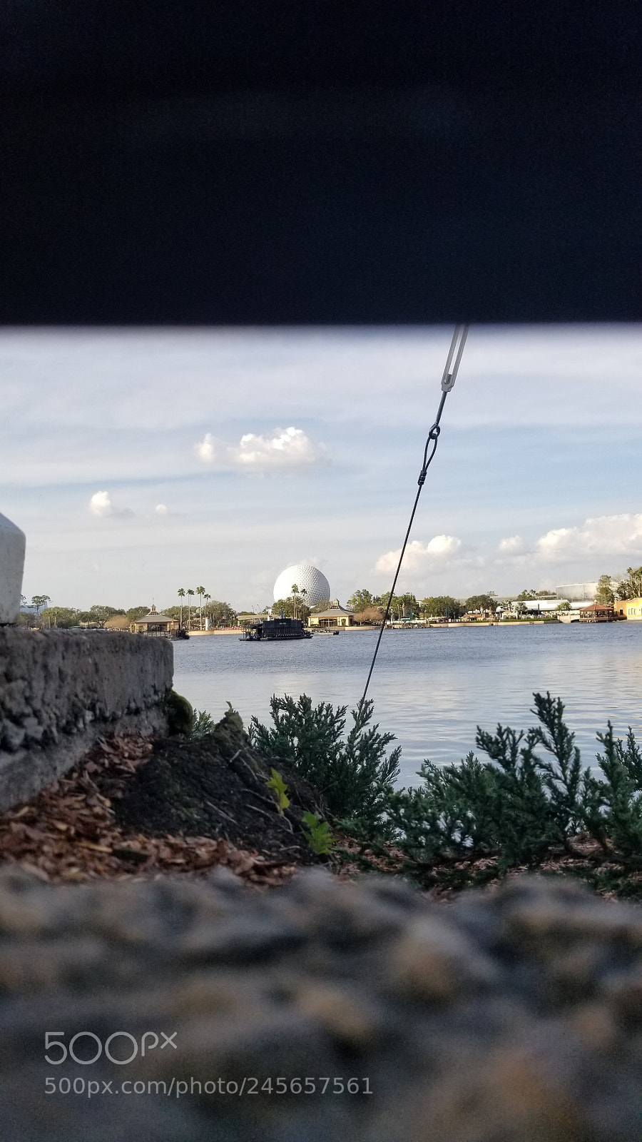 Samsung Galaxy S8+ sample photo. Untitled photography