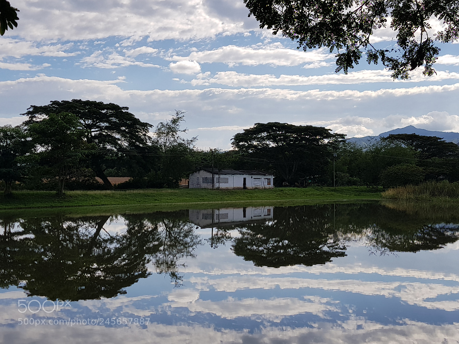 Samsung Galaxy S8+ sample photo. Untitled photography