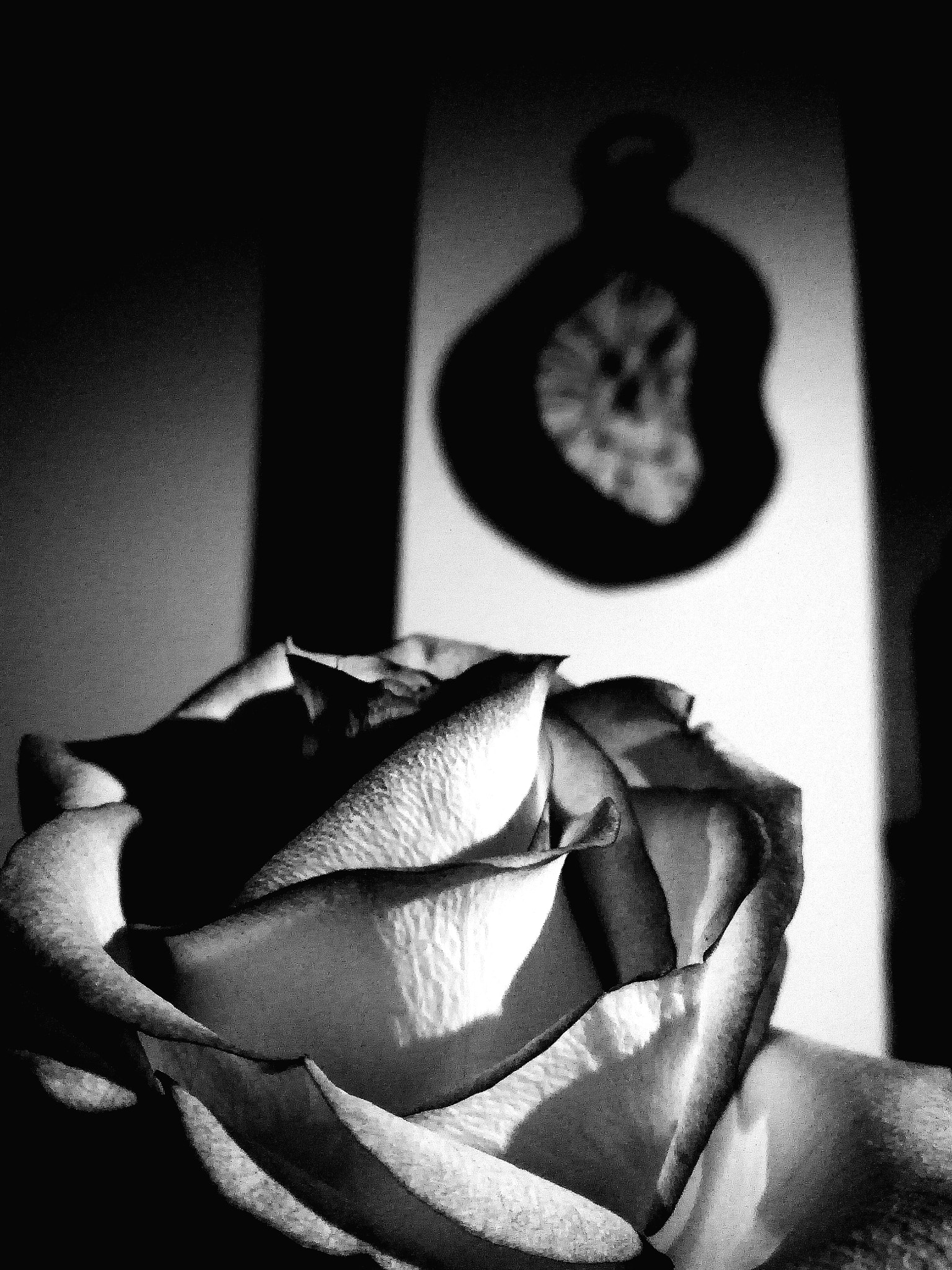 HUAWEI Honor 5C sample photo. Le temps passe photography