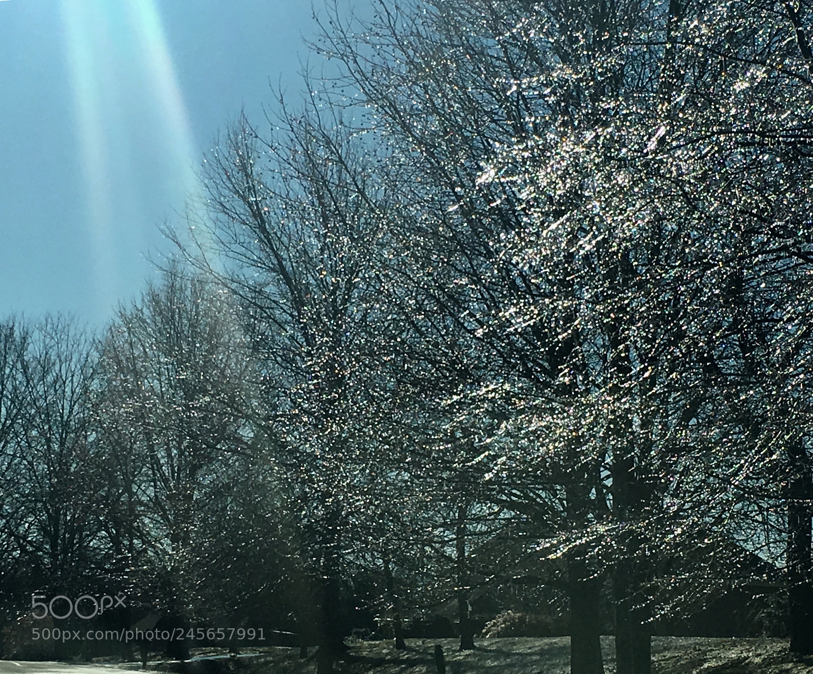Apple iPhone 6s sample photo. Untitled photography