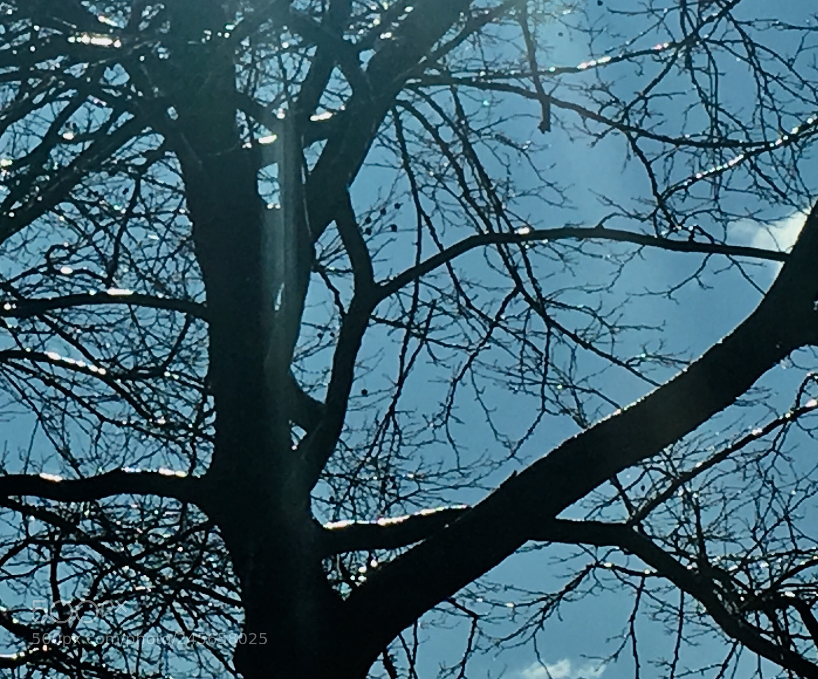 Apple iPhone 6s sample photo. Untitled photography
