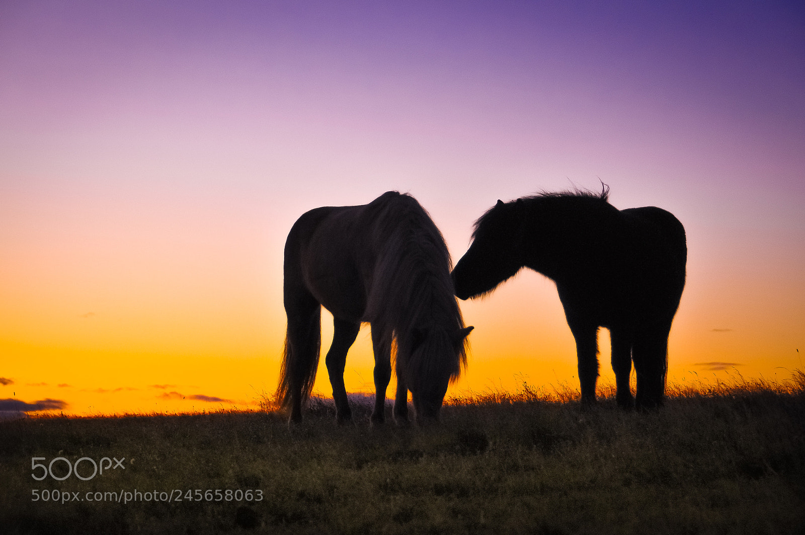 Nikon D300S sample photo. Iceland sunset photography