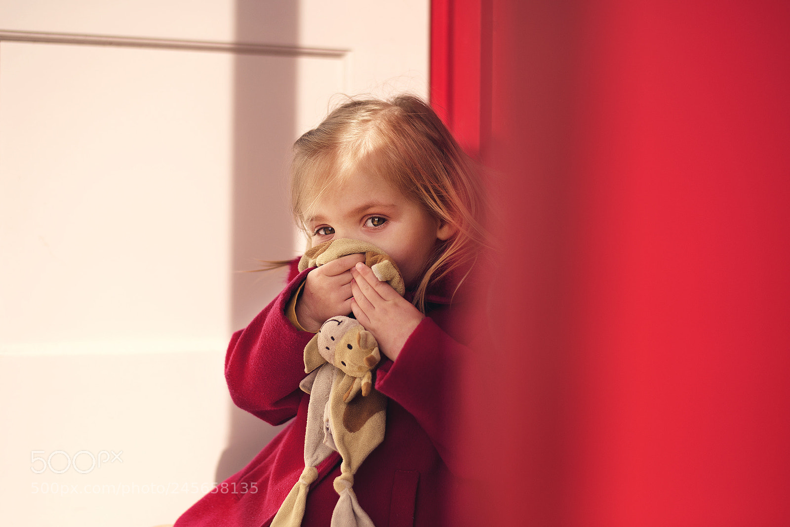 Nikon D810 sample photo. Snuggles photography