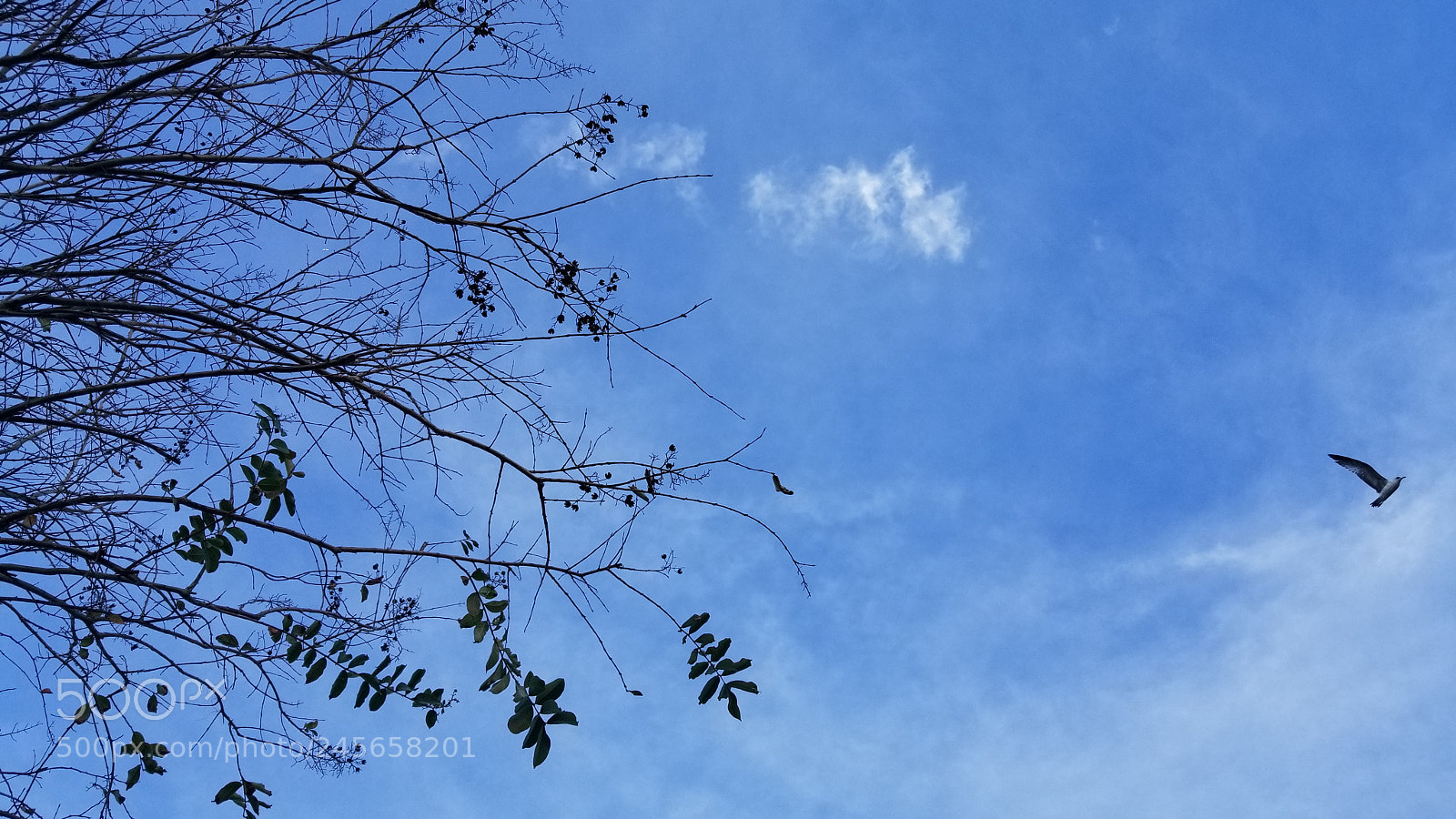 Samsung Galaxy S8+ sample photo. Untitled photography