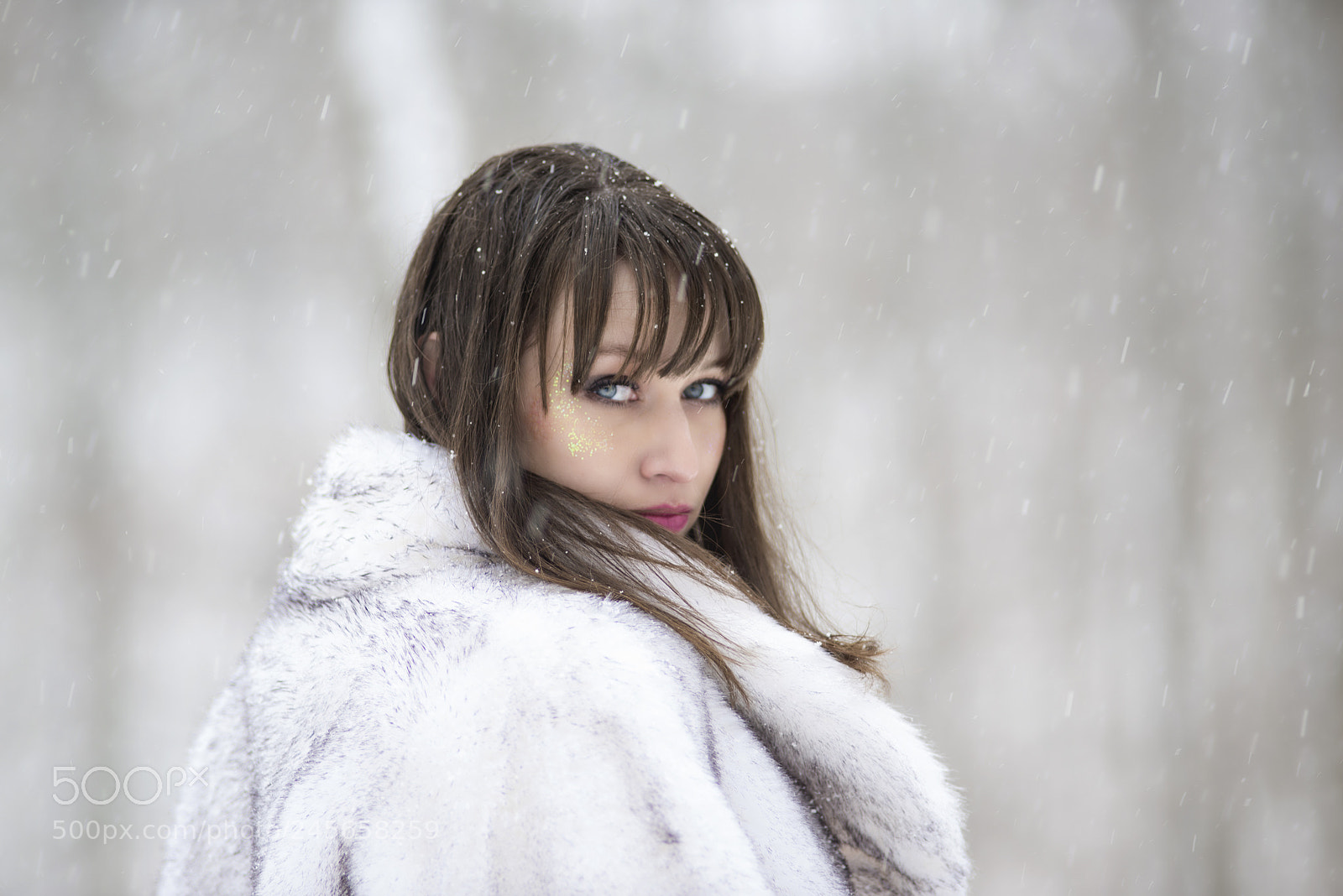 Nikon D610 sample photo. Untitled photography