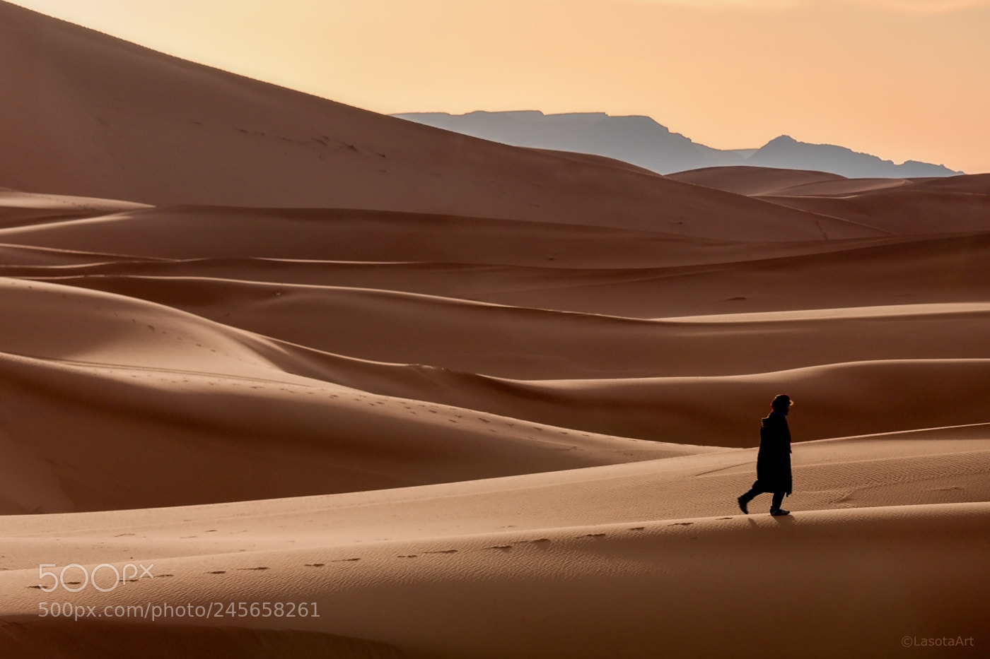 Panasonic Lumix DMC-GX8 sample photo. Walk in the desert photography