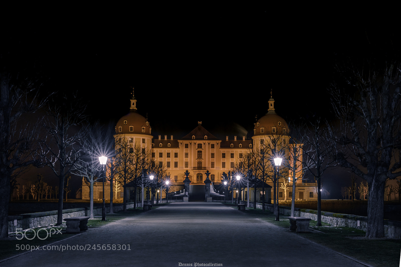 Nikon D7200 sample photo. Schloss moritzburg photography