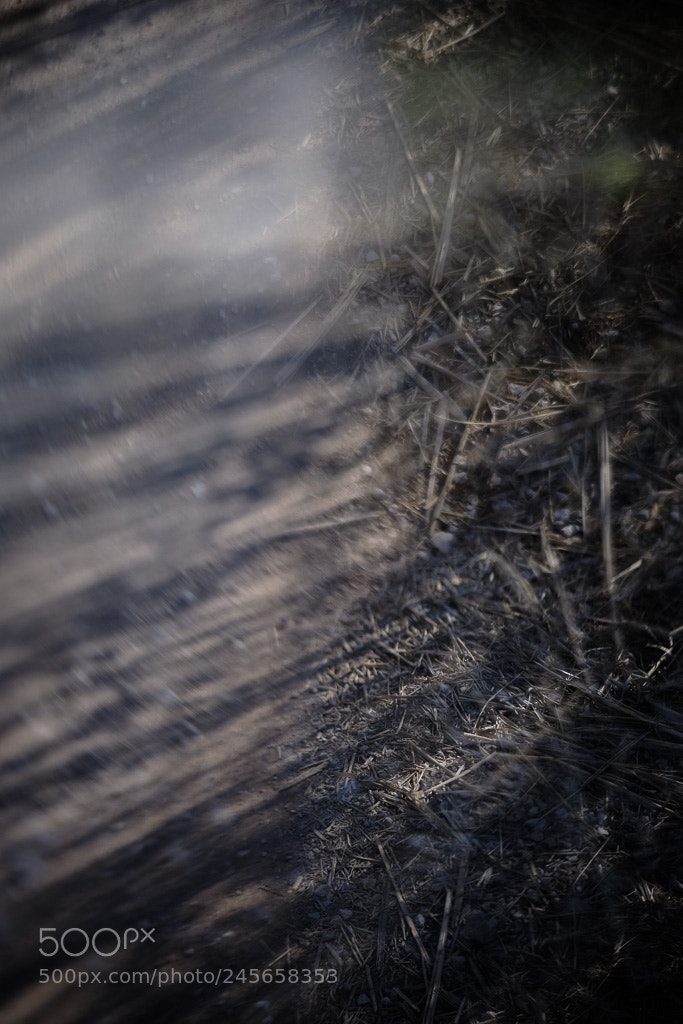 Fujifilm X-T10 sample photo. Untitled photography