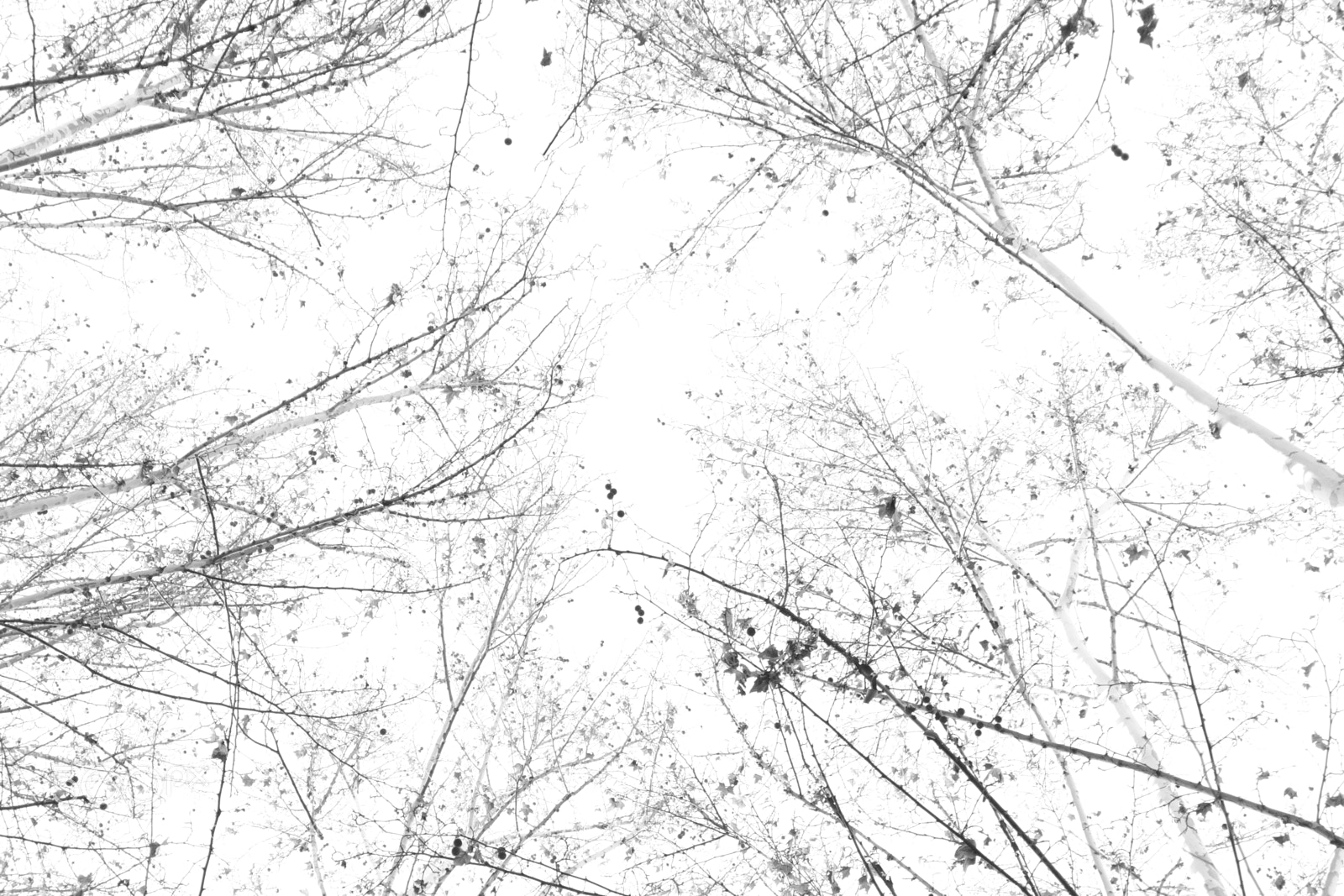 Fujifilm X-M1 sample photo. Sky photography