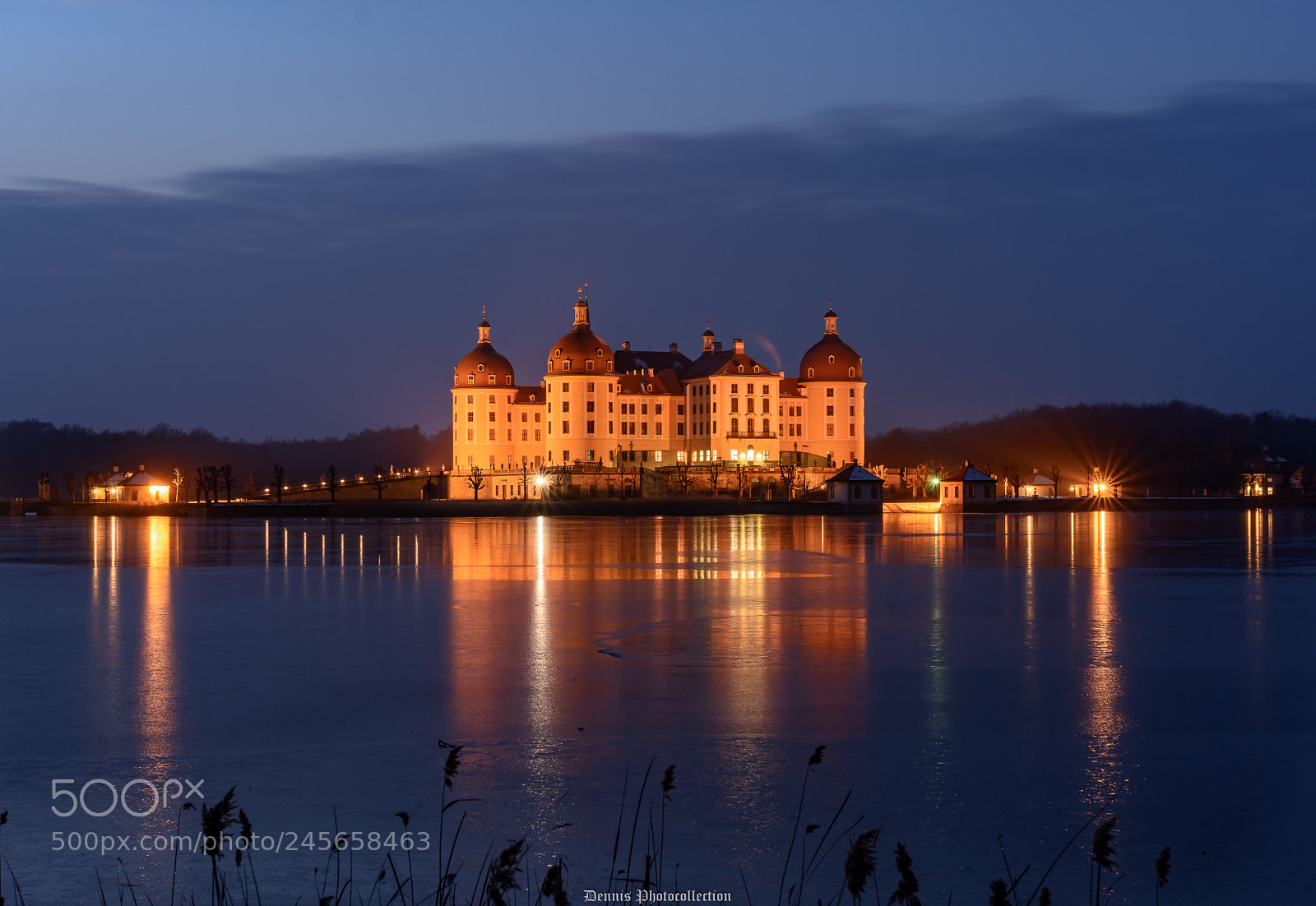Nikon D7200 sample photo. Moritzburger schloss photography