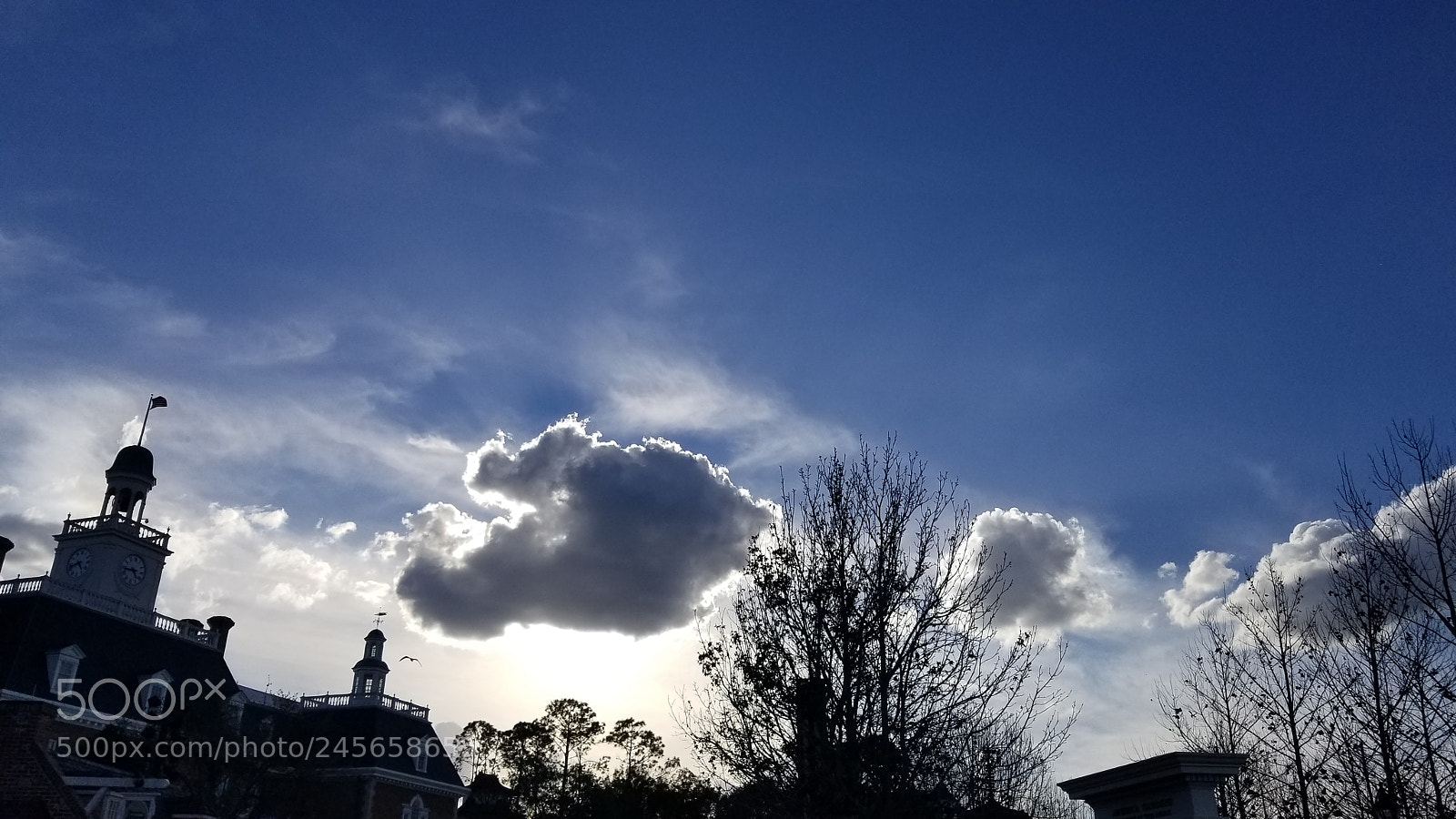 Samsung Galaxy S8+ sample photo. Untitled photography