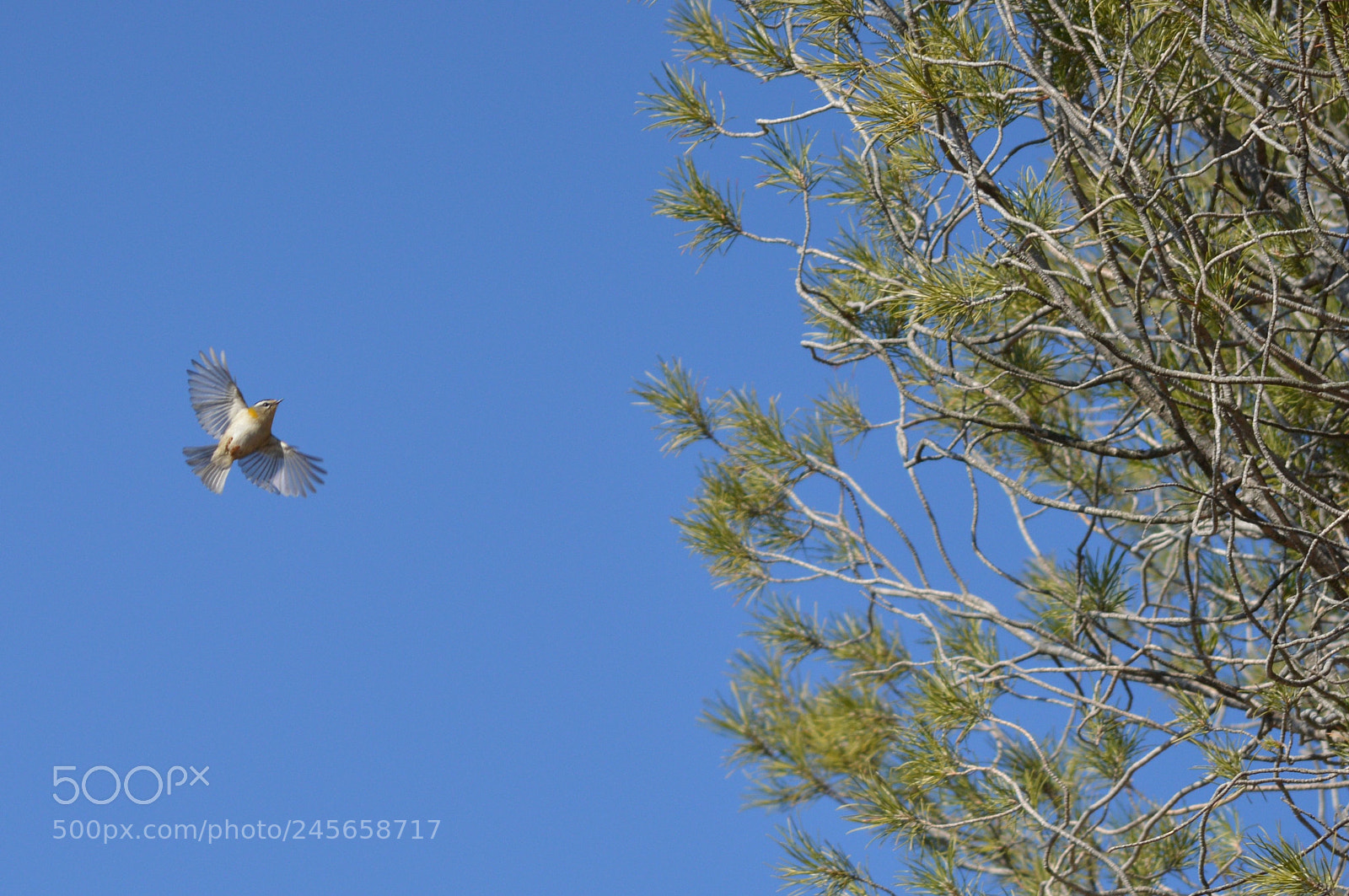 Nikon D3200 sample photo. Untitled photography