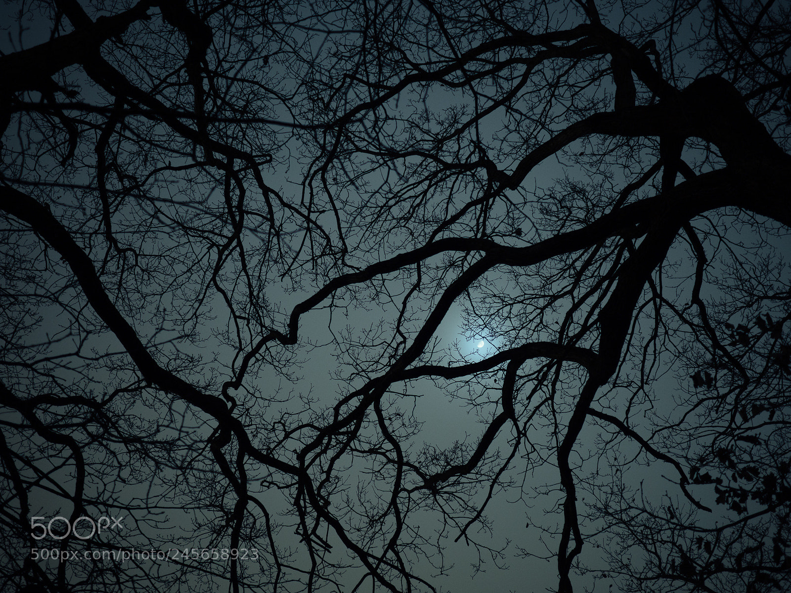 Olympus OM-D E-M10 II sample photo. Fear of the dark photography