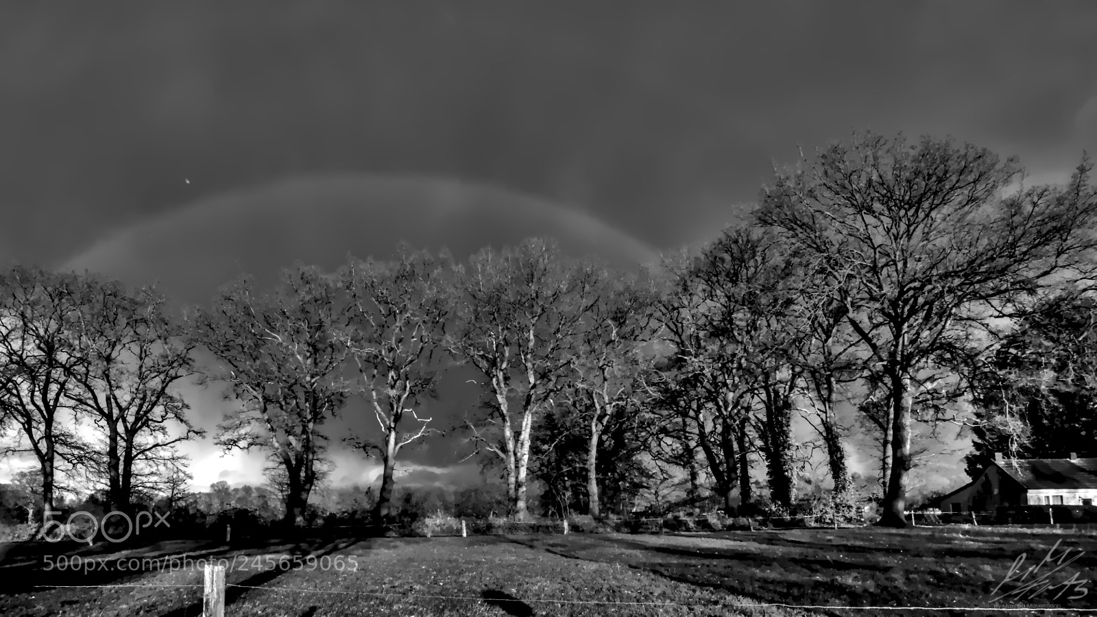 Nikon D90 sample photo. A rainbow scene photography