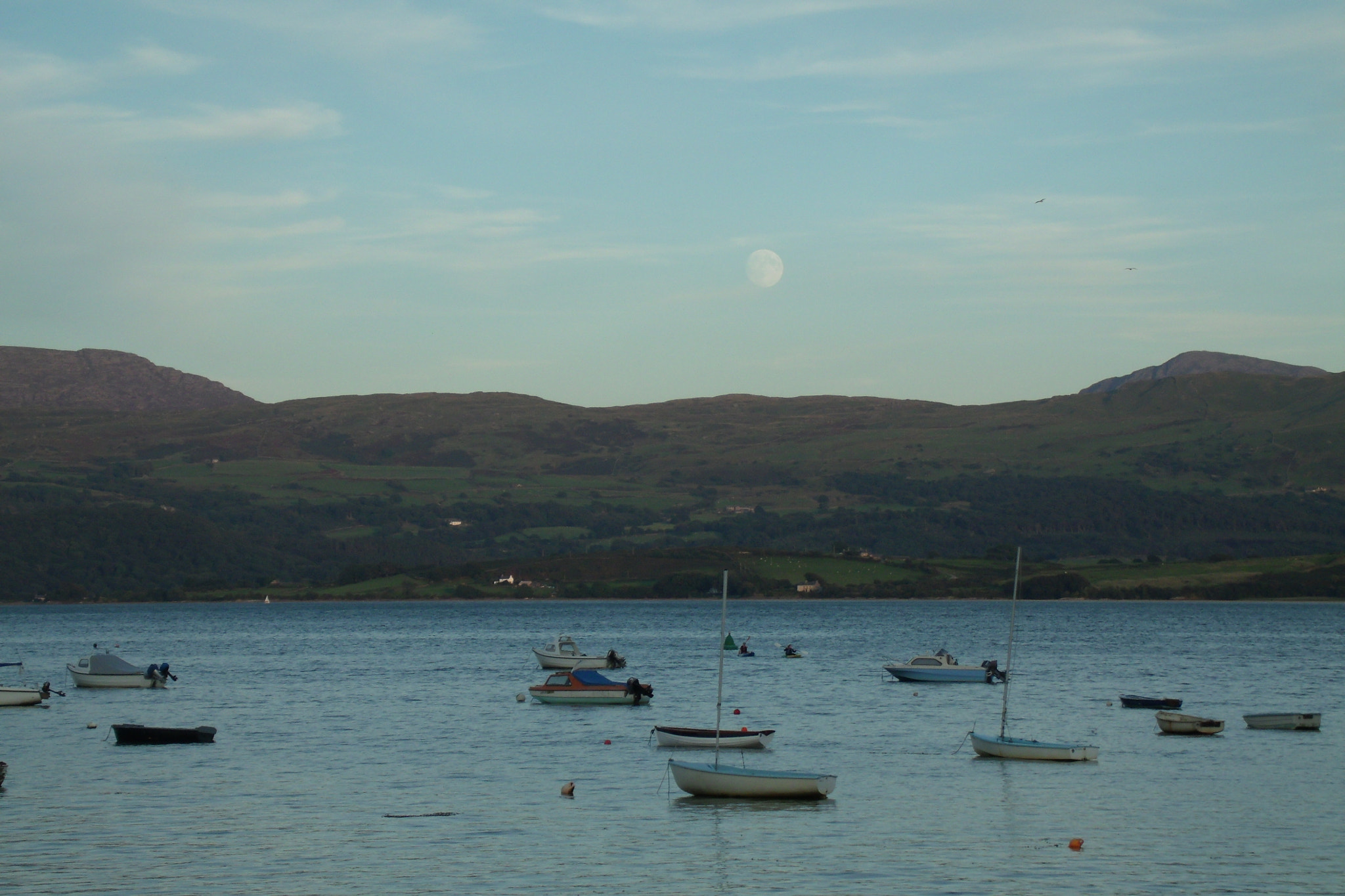 GENERAL IMAGING CO. X400 sample photo. Early evening photography