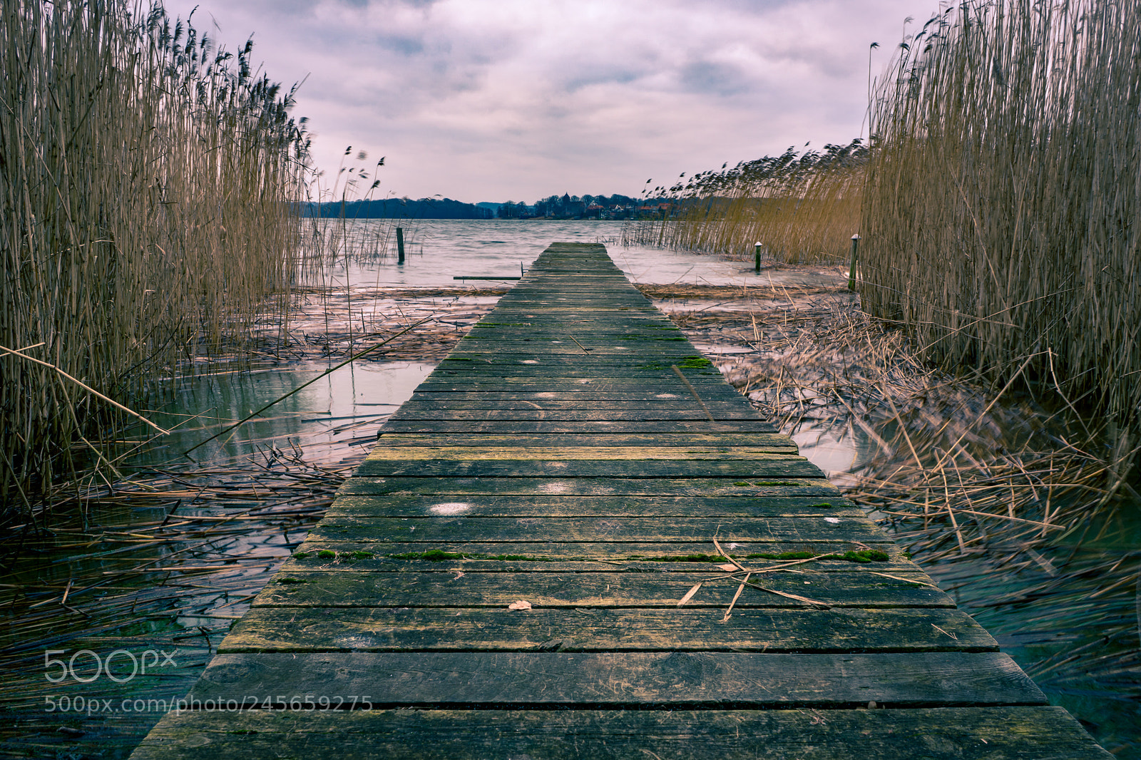 Sony a7 II sample photo. A long way photography