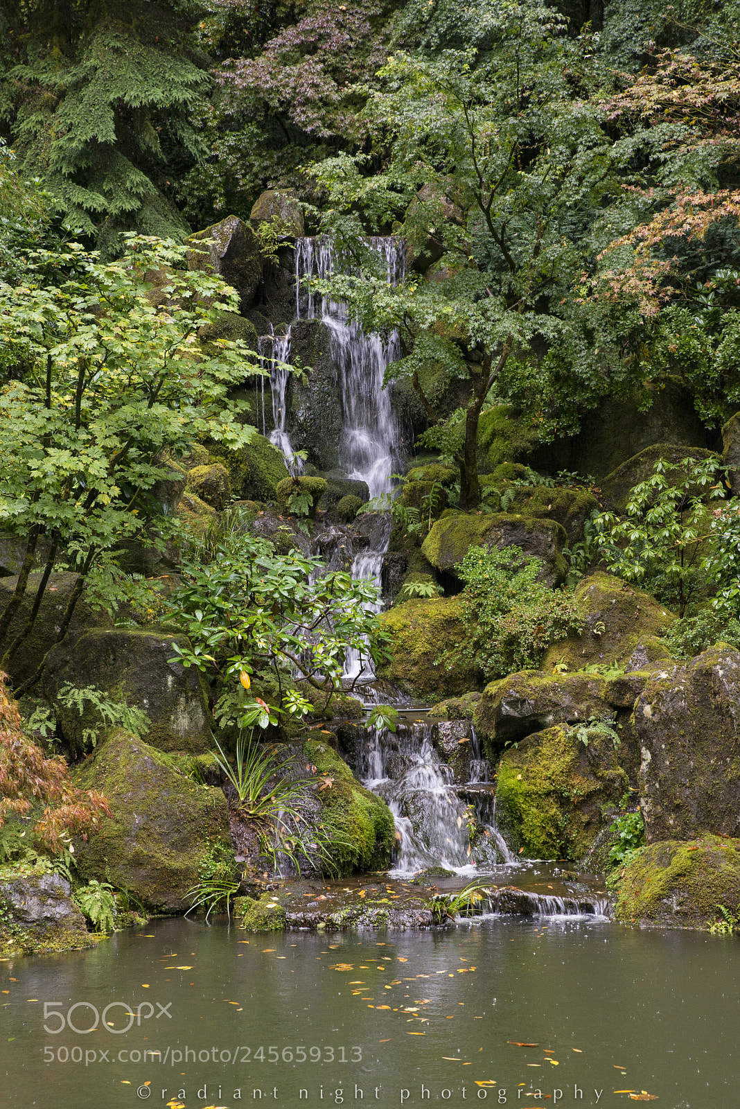 Nikon D610 sample photo. Waterfall photography