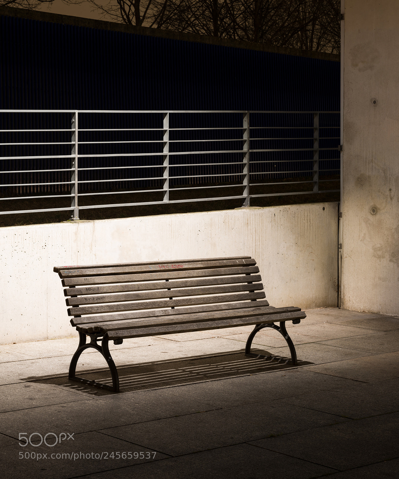Nikon D800E sample photo. Parkbank_02 photography