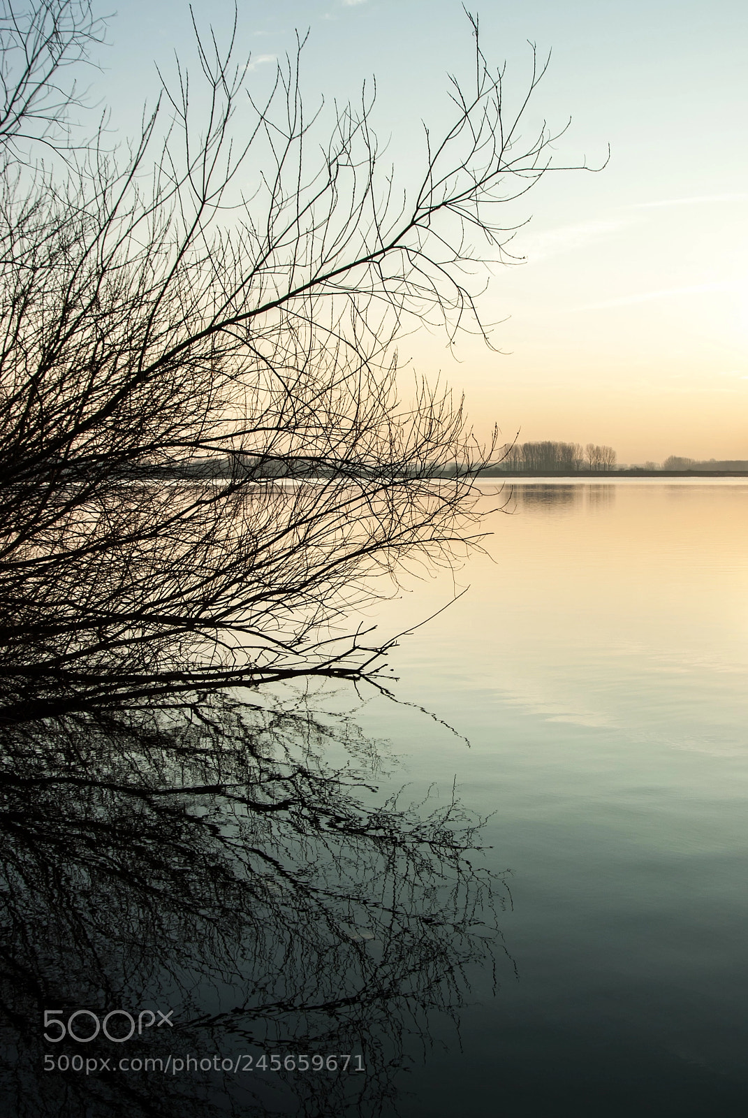 Nikon D200 sample photo. Reflection photography