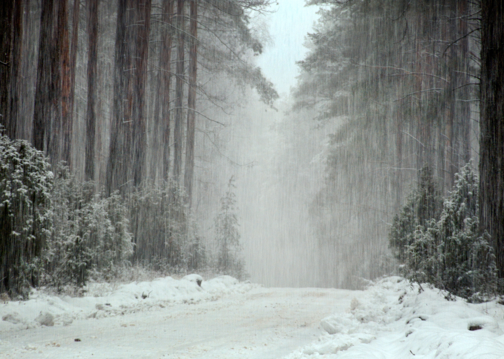 Fujifilm FinePix S9600 sample photo. Snow-flurry... photography