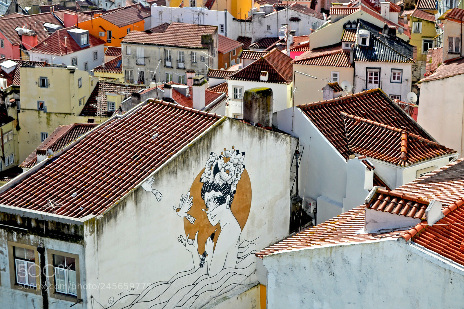 Nikon D3100 sample photo. Quina de lisboa, com photography