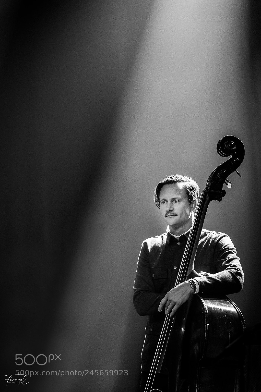 Nikon D5 sample photo. The bassist photography