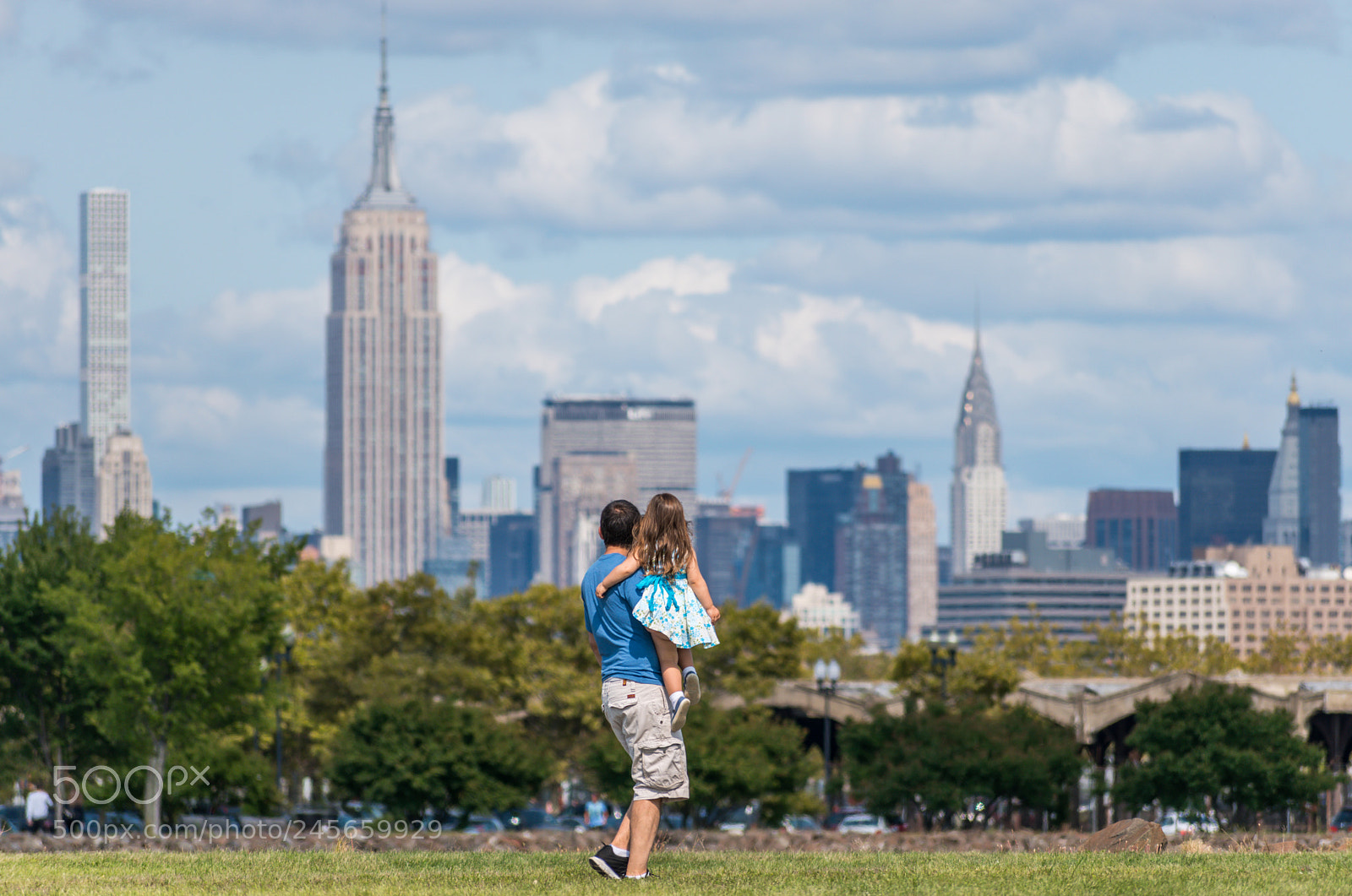 Nikon D5500 sample photo. View of new york photography