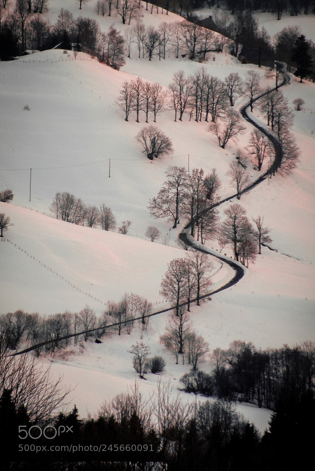 Nikon D200 sample photo. Sur la route photography