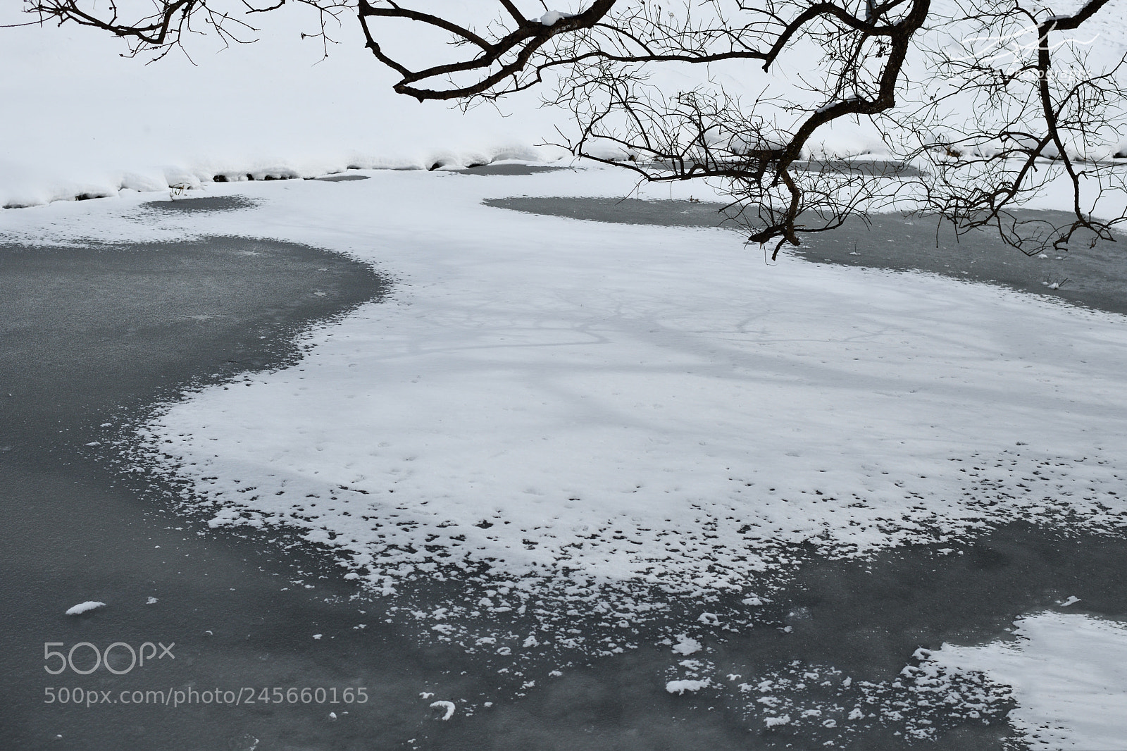 Nikon D850 sample photo. Pond of snow photography