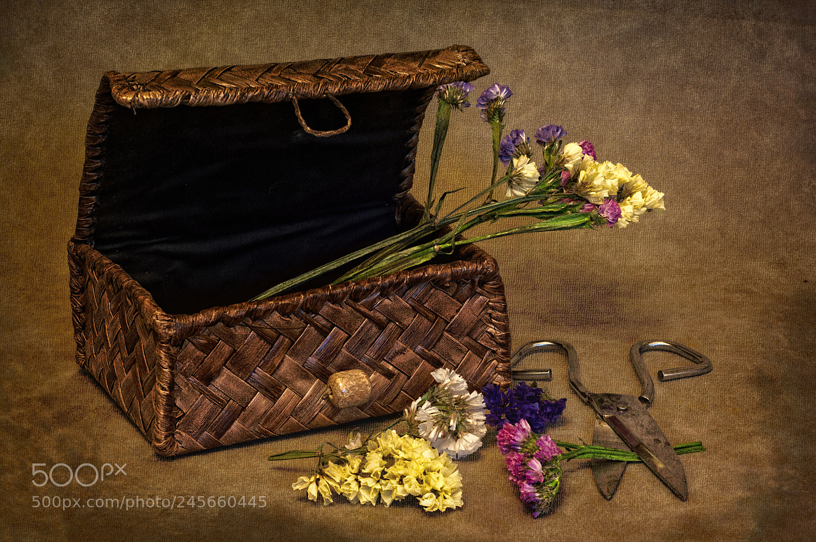 Nikon D90 sample photo. Some dried flowers photography