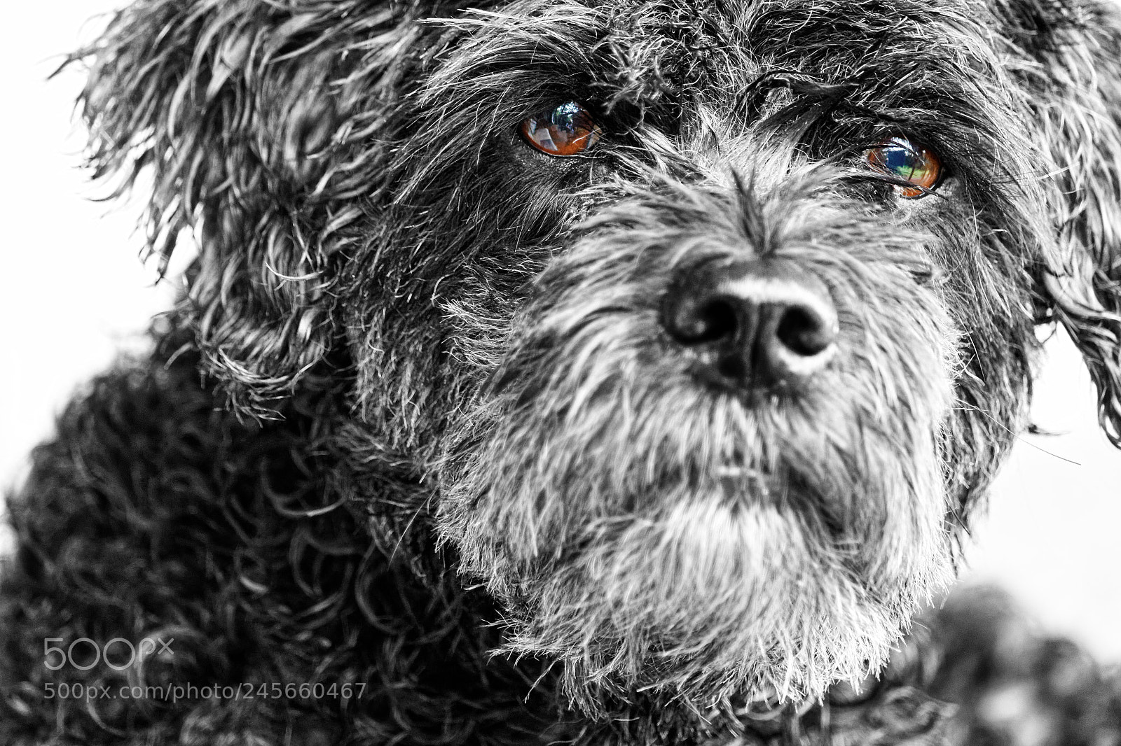 Canon EOS 650D (EOS Rebel T4i / EOS Kiss X6i) sample photo. Ben after bath. photography