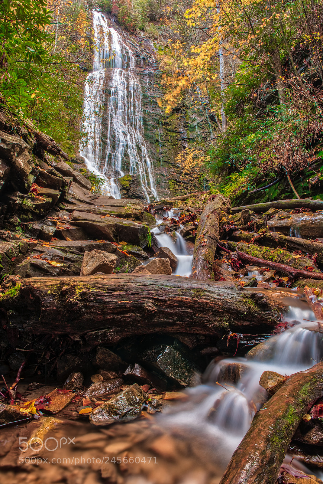 Nikon D810 sample photo. Flowing water of mingo photography