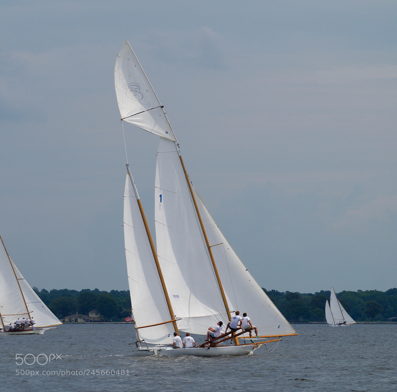 Olympus OM-D E-M1 sample photo. Catching wind photography
