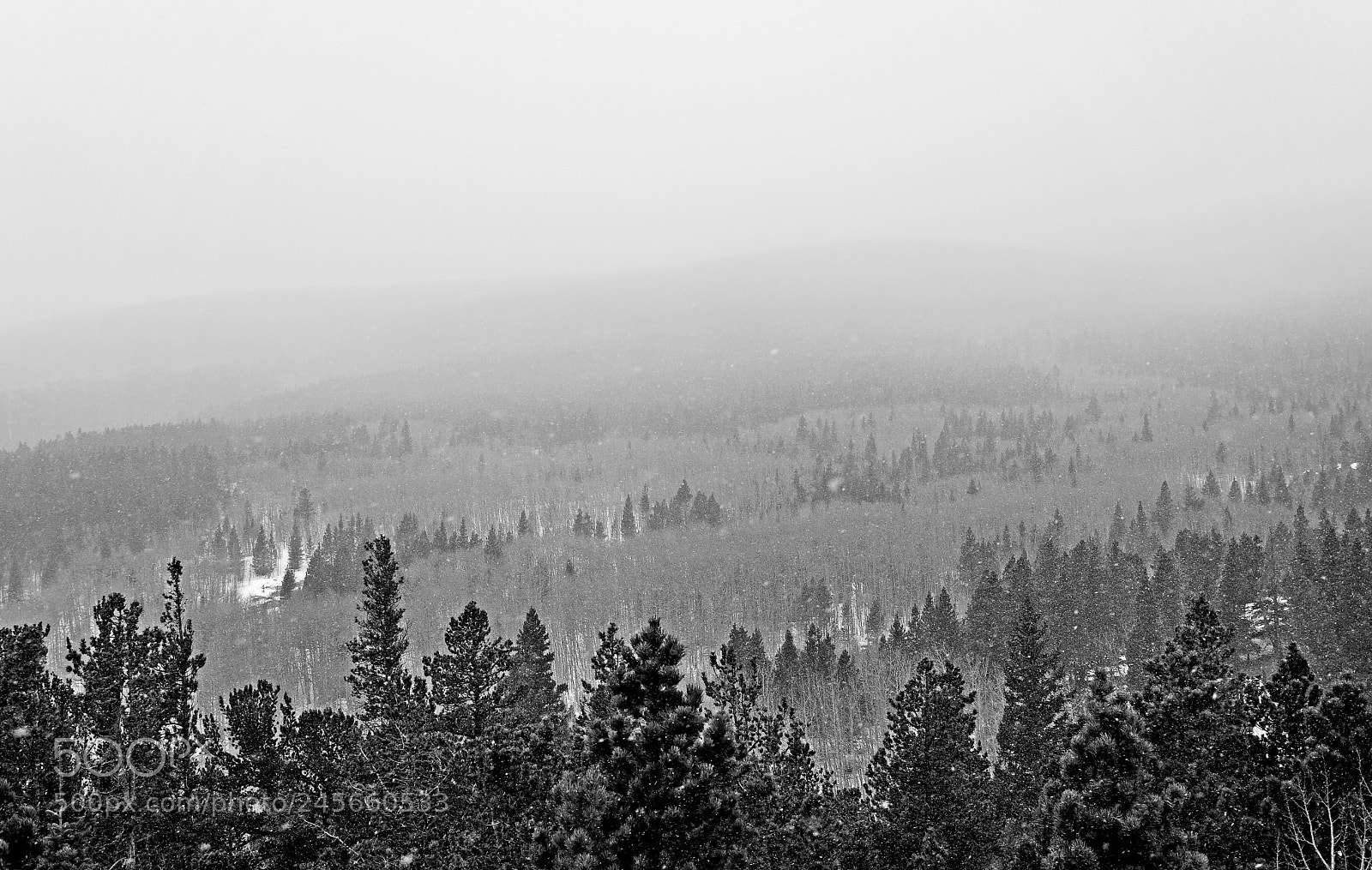 Nikon D7100 sample photo. Peak to peak highway photography