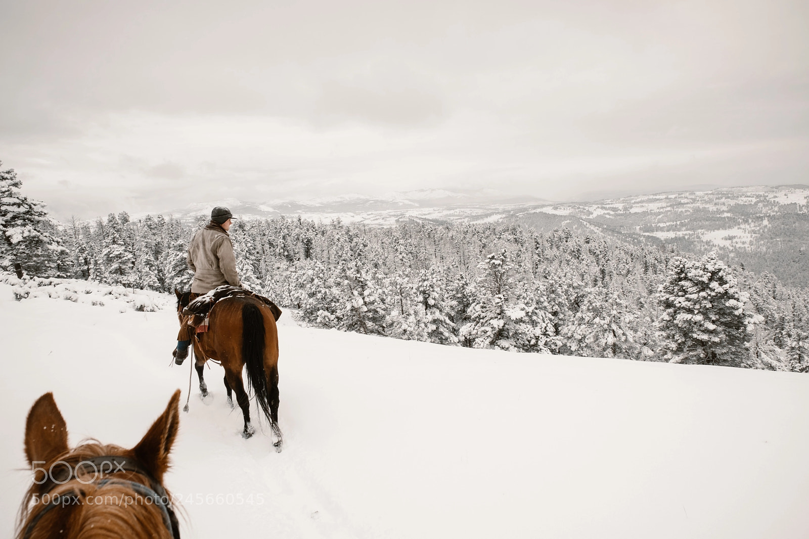 Fujifilm X-T2 sample photo. Horseback ride in yellowstone (#2) photography