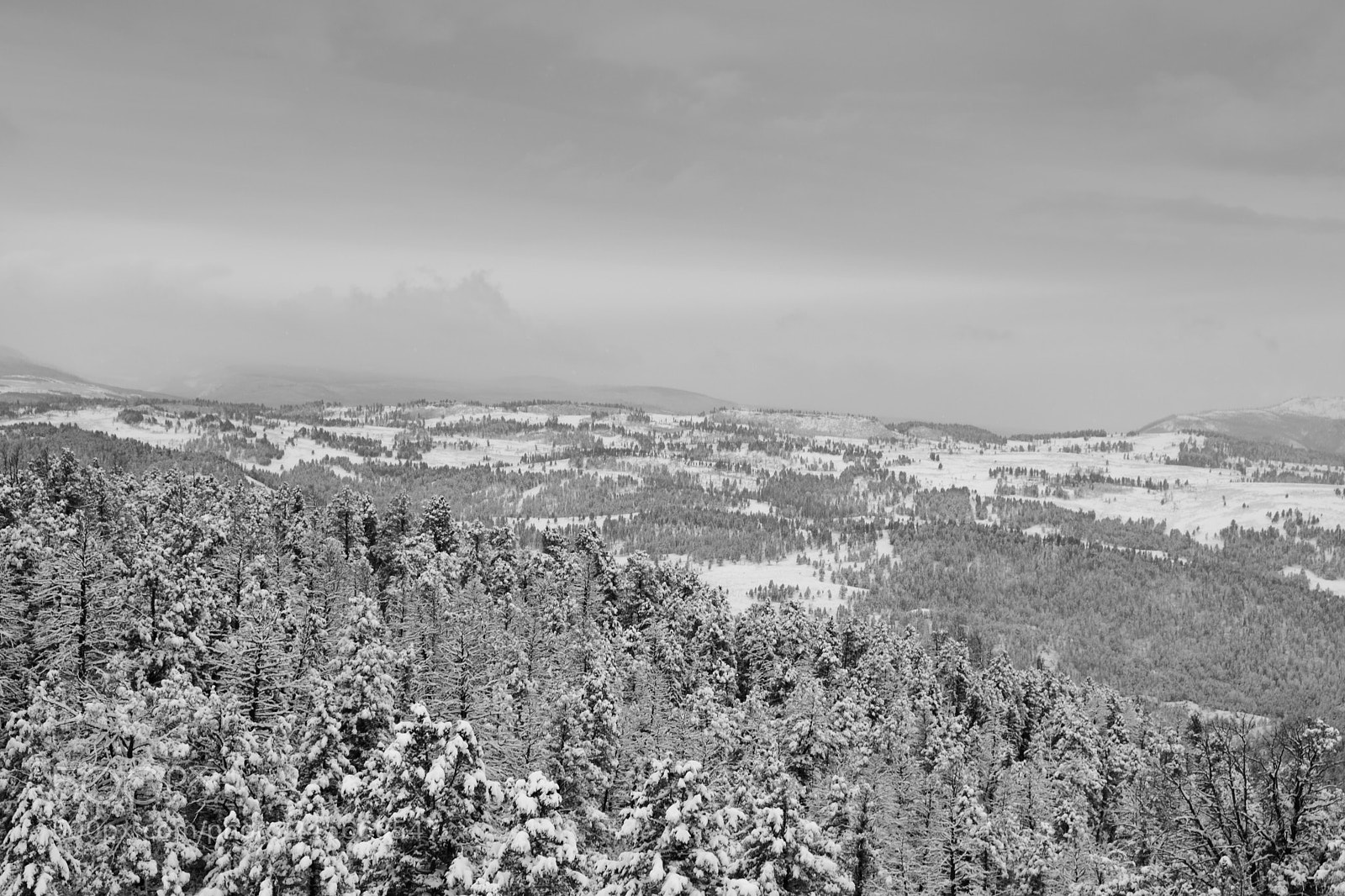 Fujifilm X-T2 sample photo. Overlooking yellowstone on a photography