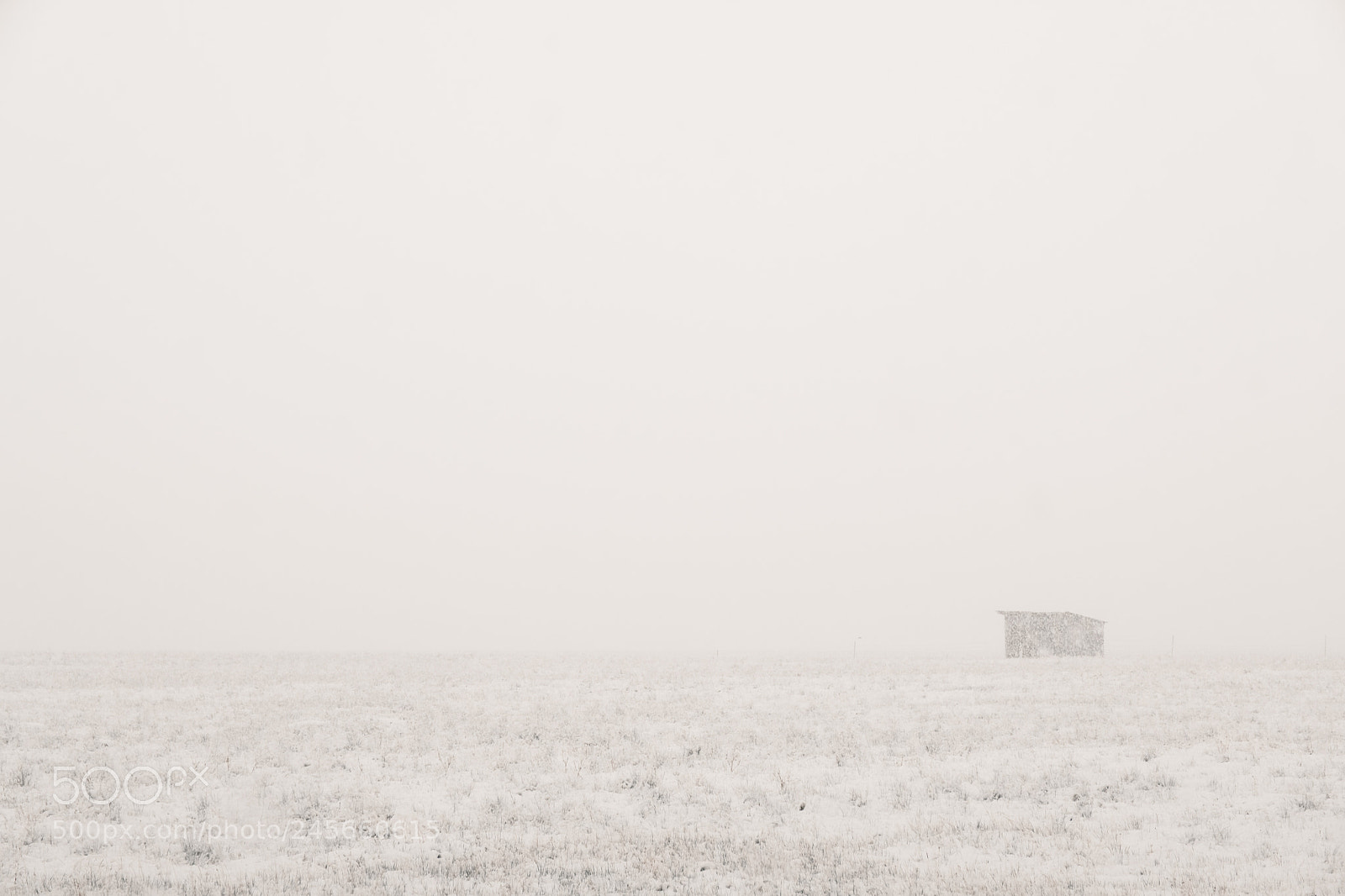 Fujifilm X-T2 sample photo. Winter storm in yellowstone photography