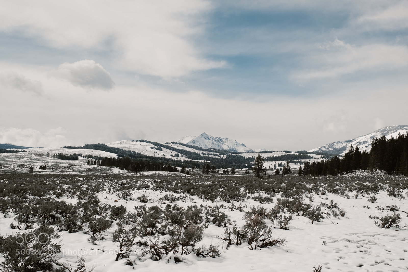 Fujifilm X-T2 sample photo. Untitled photography