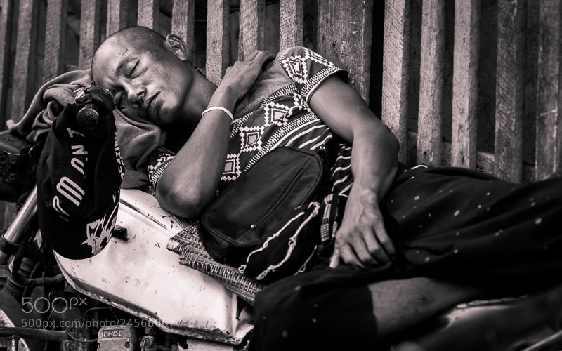 Nikon D500 sample photo. Sleeping photography
