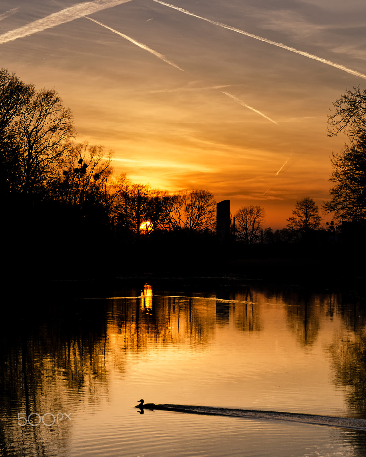 Sigma 17-50mm F2.8 EX DC OS HSM sample photo. Golden sunset in picturesque east park in wroclaw photography