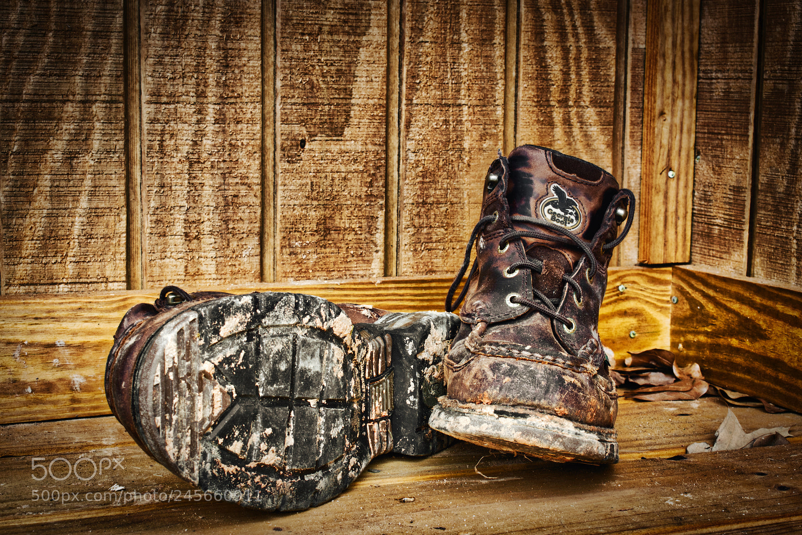Nikon D5600 sample photo. Georgia mud photography