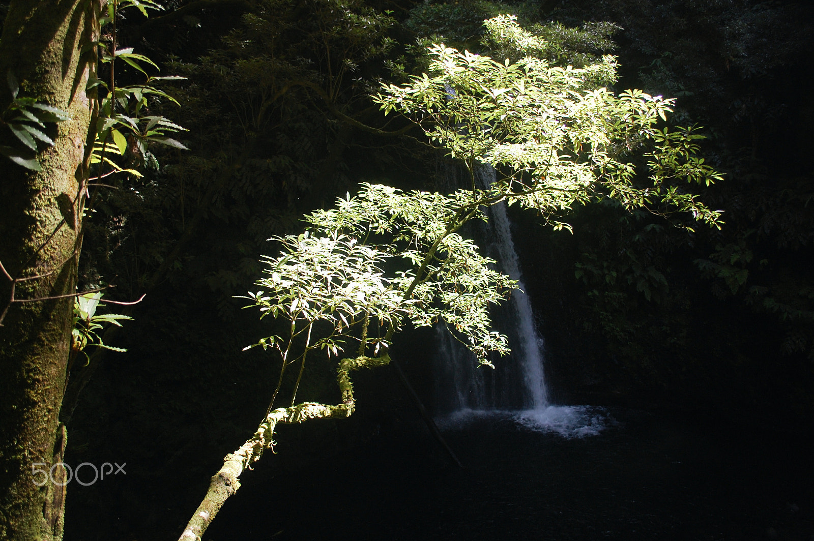 Nikon D40 sample photo. Azores photography