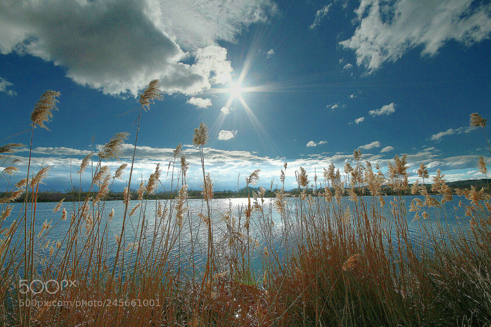 Canon EOS 700D (EOS Rebel T5i / EOS Kiss X7i) sample photo. La laguna. photography