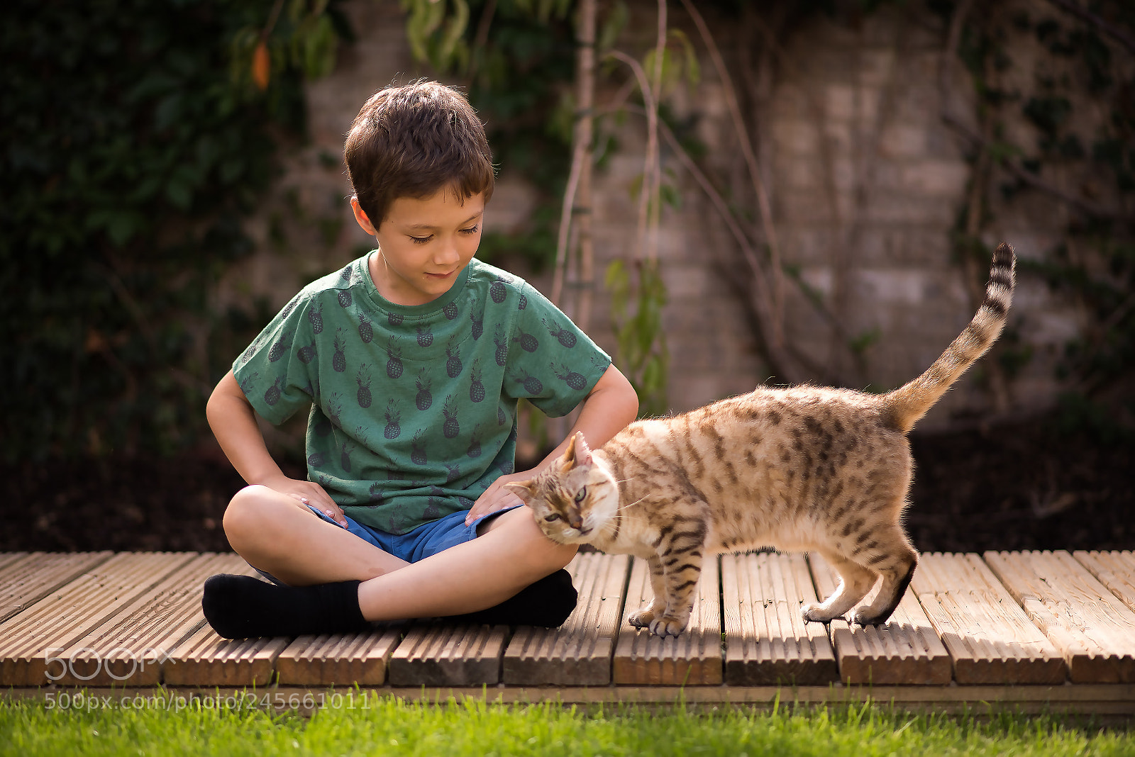 Nikon D810 sample photo. A boy and his photography