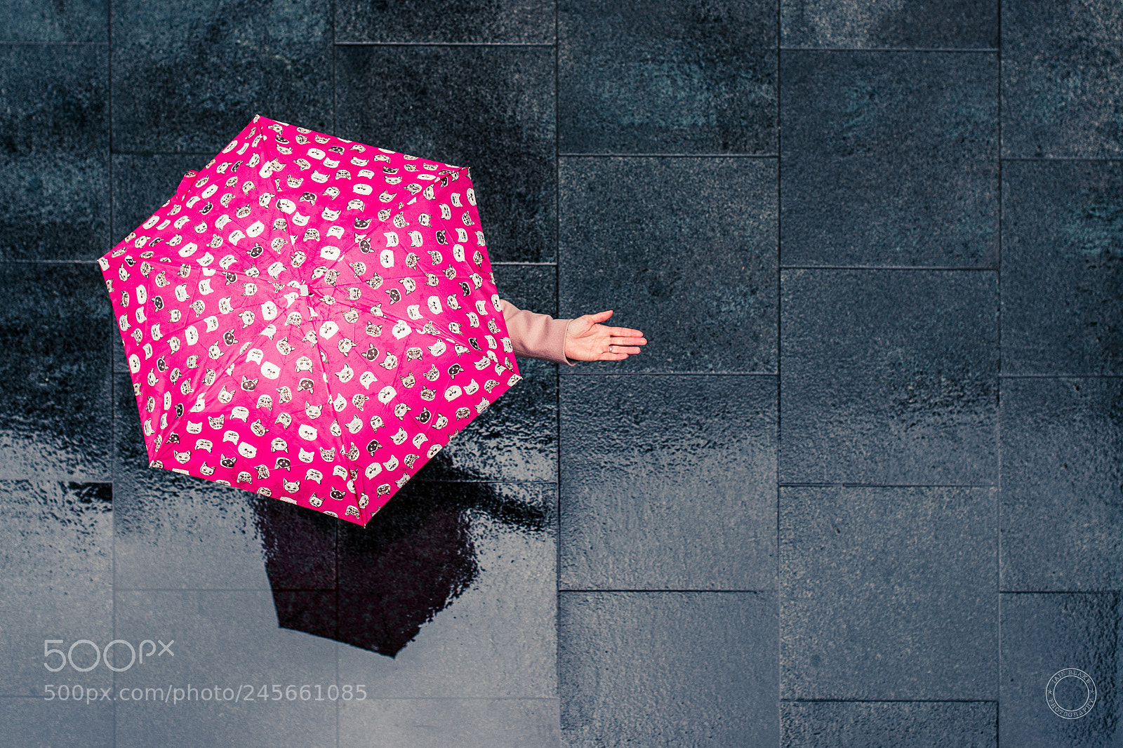 Nikon D4 sample photo. Rain check photography