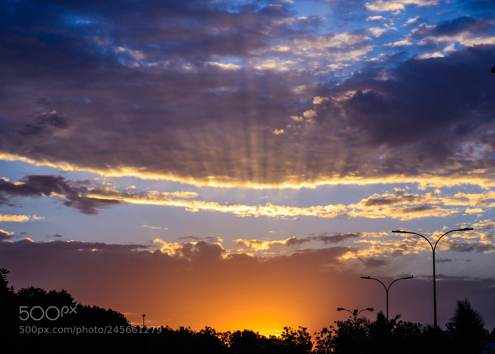 Nikon D5100 sample photo. Good morning photography