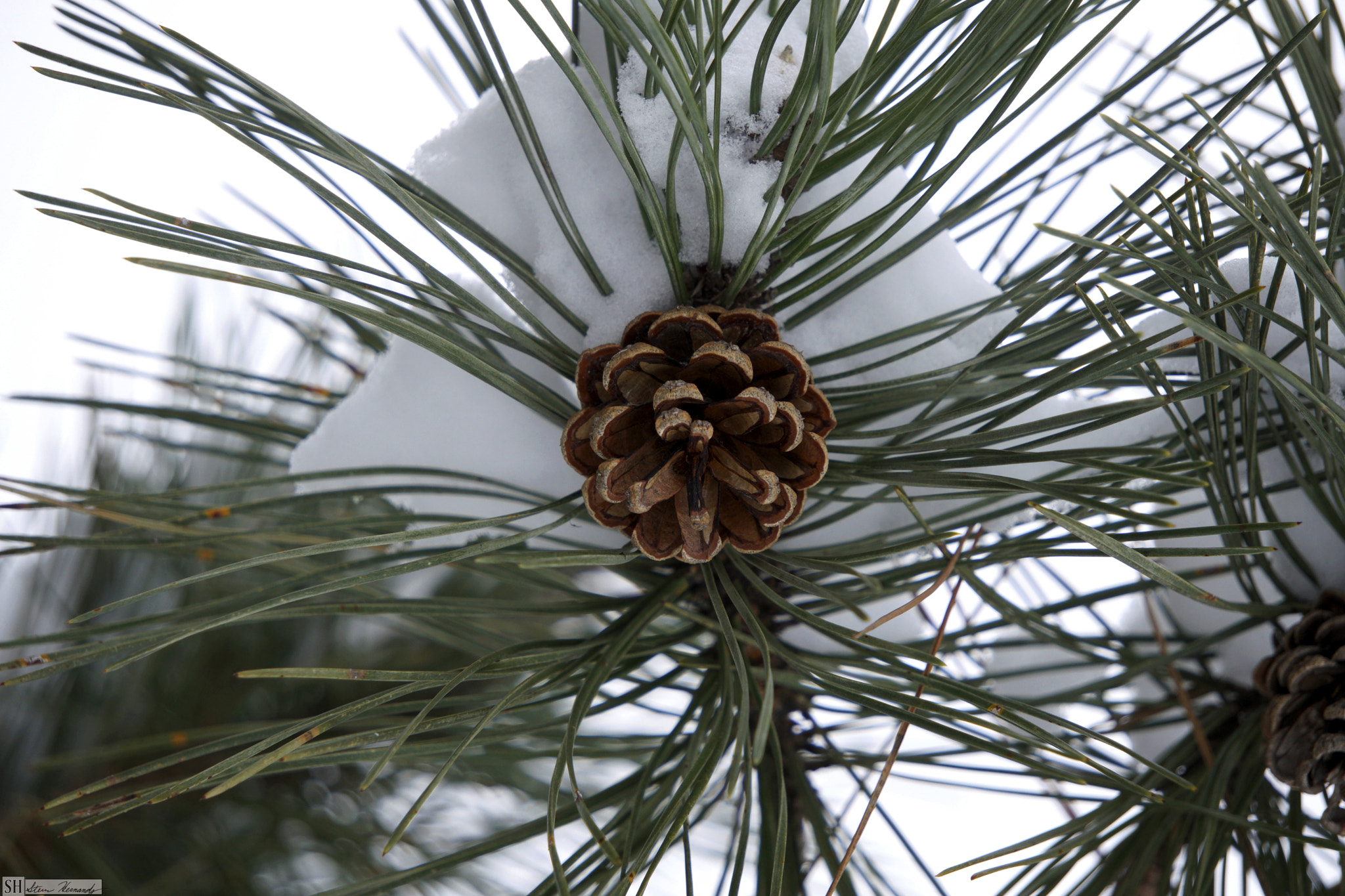Sony FE 24-240mm F3.5-6.3 OSS sample photo. () photography