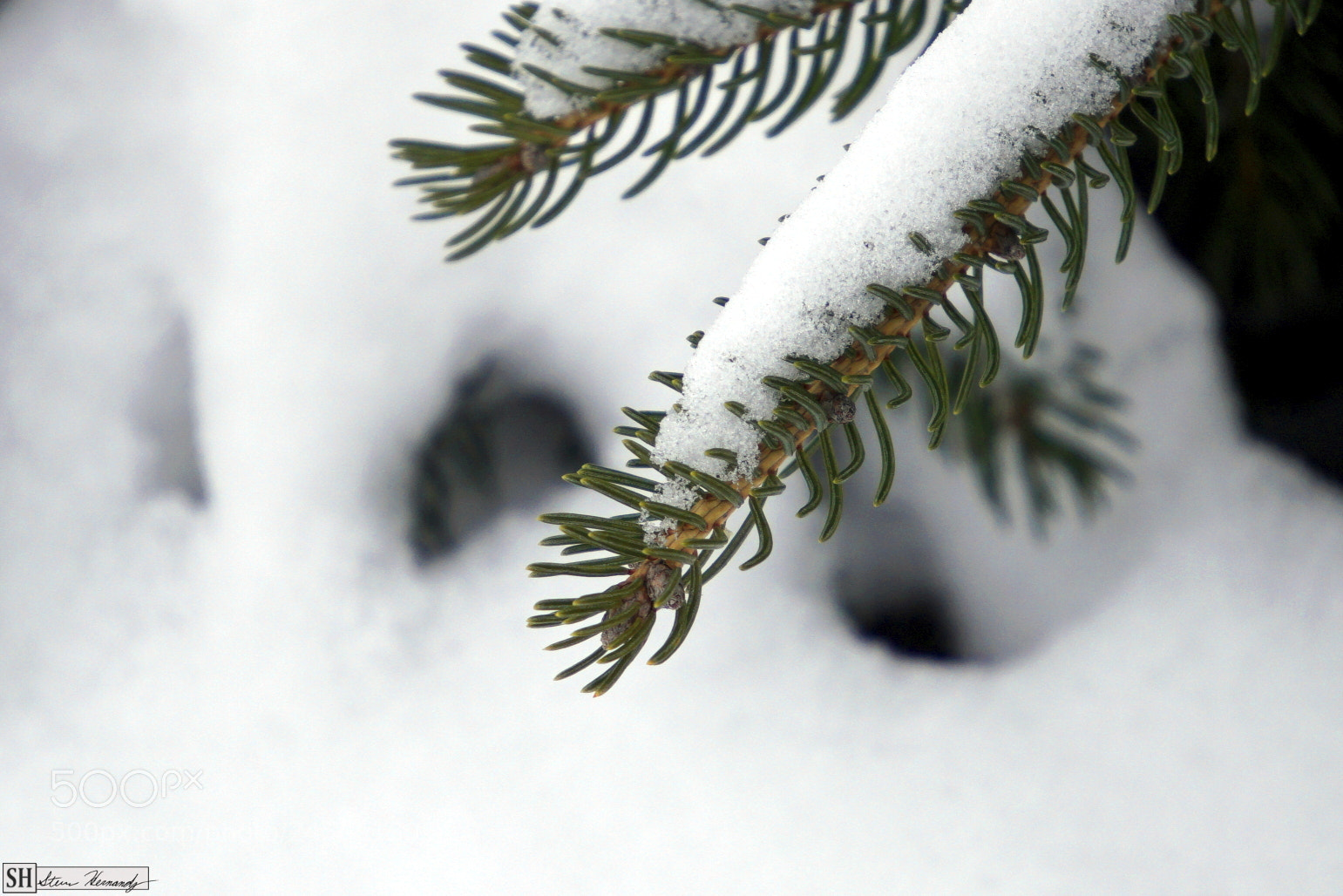 Sony E 55-210mm F4.5-6.3 OSS sample photo. () photography