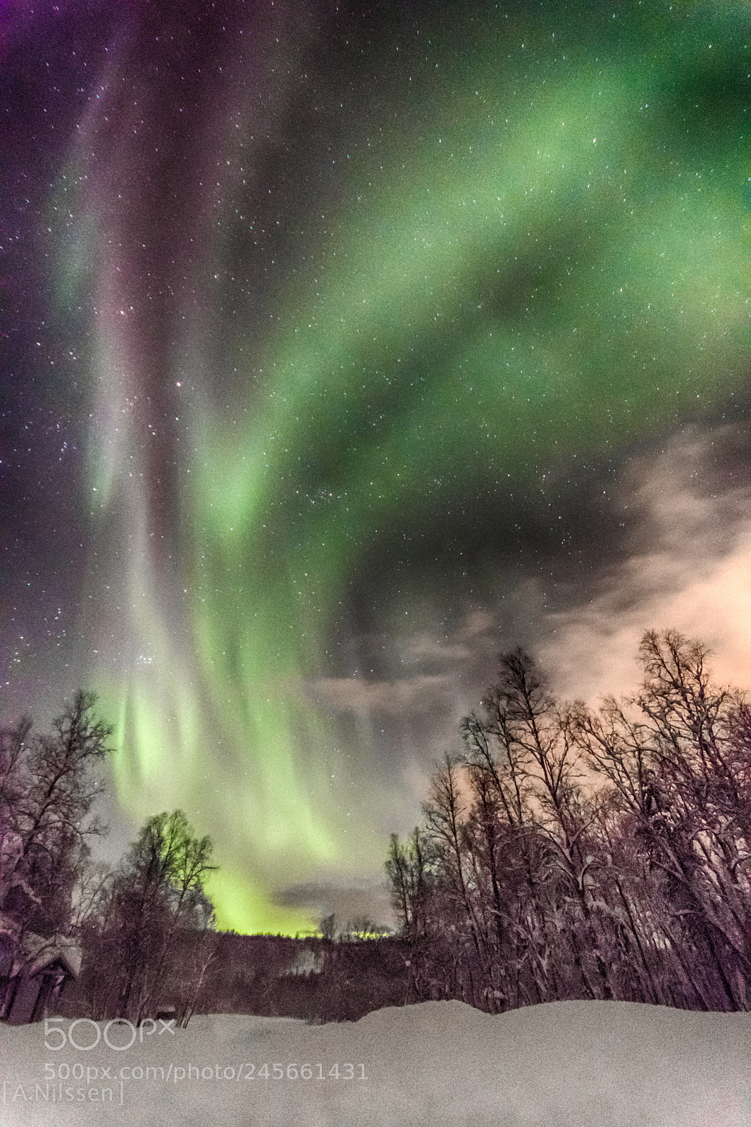 Nikon D500 sample photo. Aurora photography