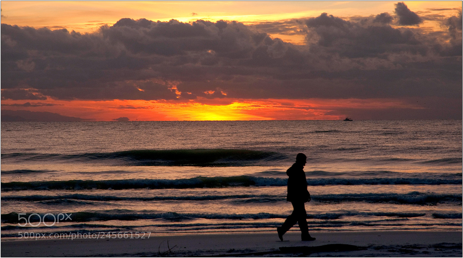 Nikon D300S sample photo. Walking in the sunset photography